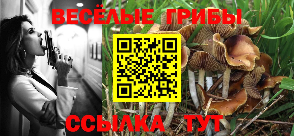 Ржев  Псилоцибиновые грибы прущие грибы  Галлюциногенные грибы MAGIC MUSHROOMS  Вход с VPN 